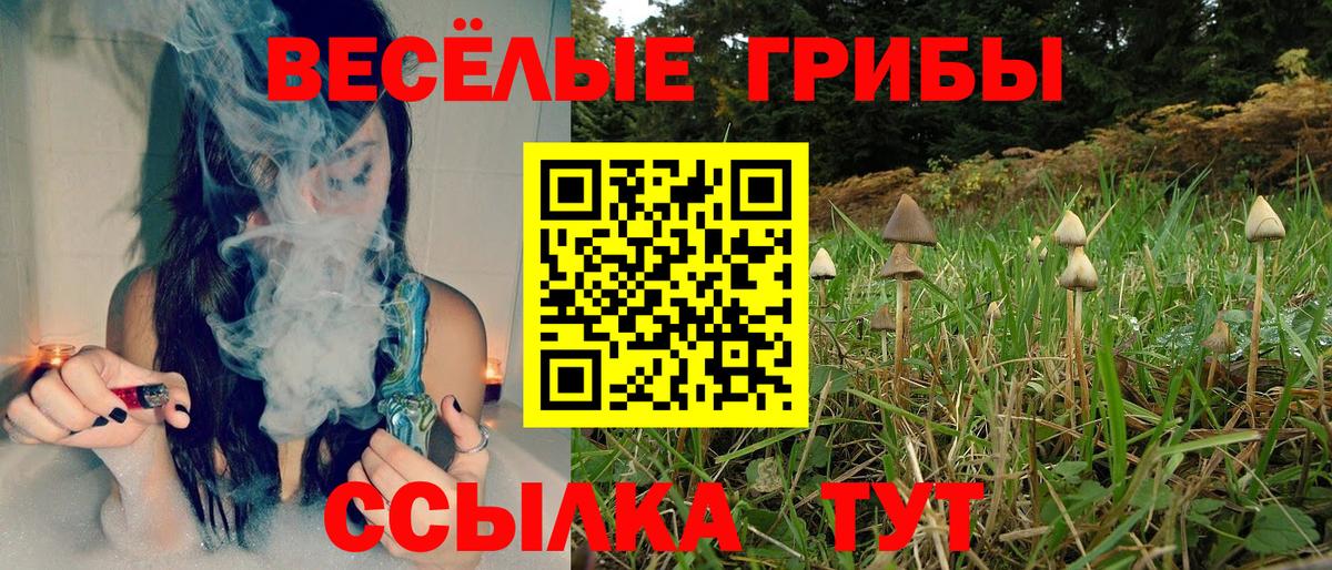 Псилоцибиновые грибы Psilocybe  купить  сайты  Спасск-Дальний  Вход с VPN  Галлюциногенные грибы Psilocybe 